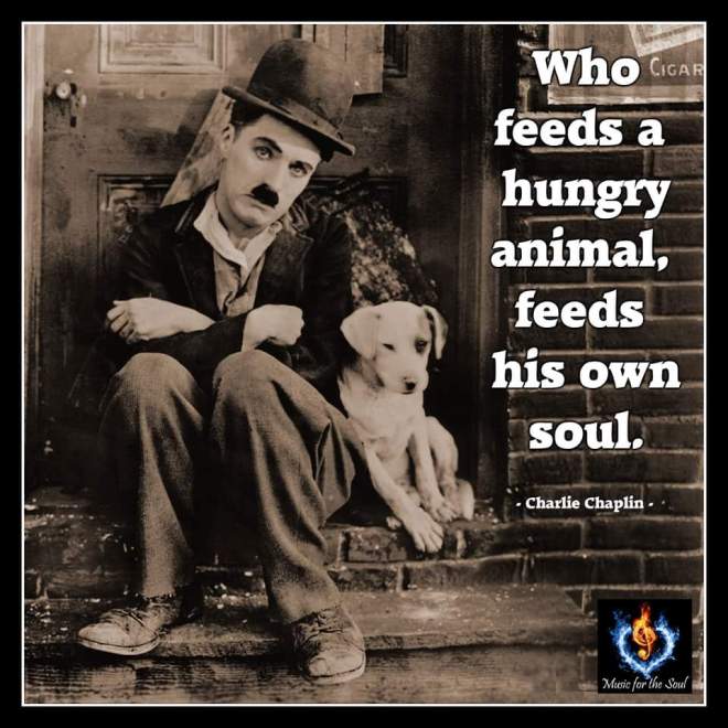 wp-1439182239956 image